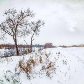 ������� ������ �������