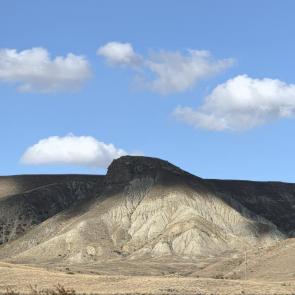 ����: ���� ���������