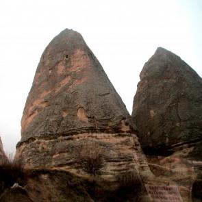 ����: ������