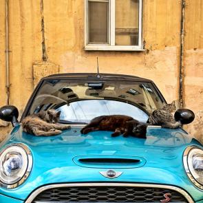 ���������� �����