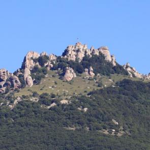 ����: ����