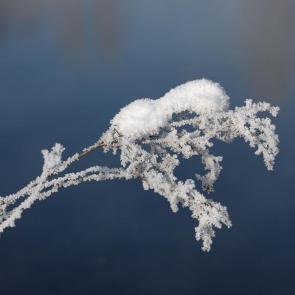 ����������� �����