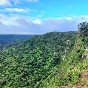 ����: ��������