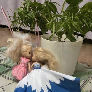 ������� ����