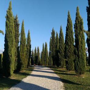 ����: ����� � ���������������� ����� � �. ����