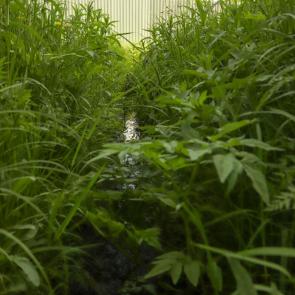 ����: ��������