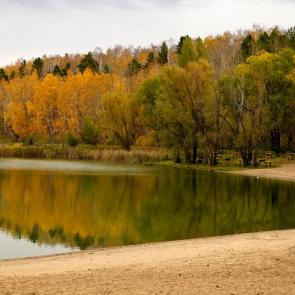 ����: ����� ������