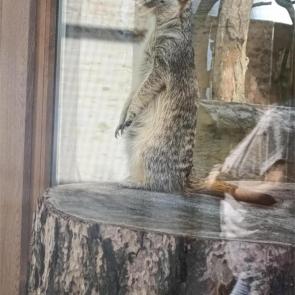 ����: ���� � �������