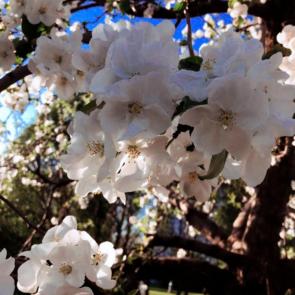 ����: �����