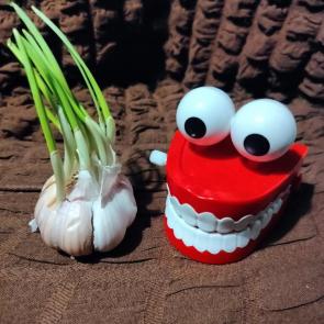 ����: ����� ������.