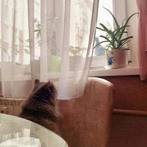 � ���� ����-������������