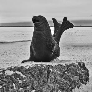 ����: ������������� ���������� �����