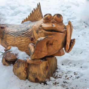 ����: �� ��������� ))