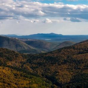 ���� ��������: 