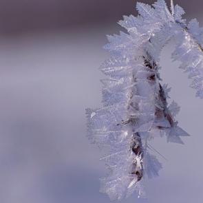 ����: ������ ���������