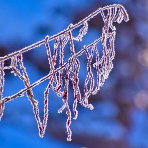 ����: ����� ���������