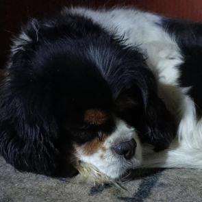 ����: ��������...