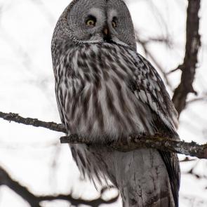 ����: � ������ ���� ����  ������� ������ ����