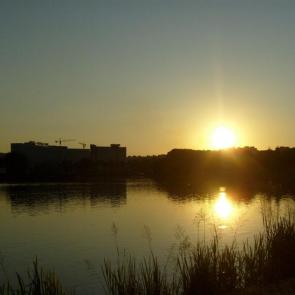 ���������� ��������� ���������