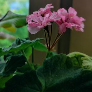 ����: �������� ������ 