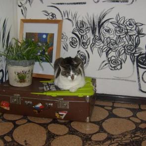 ����: �� ����� �����.