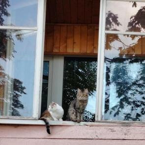 ���������� �����