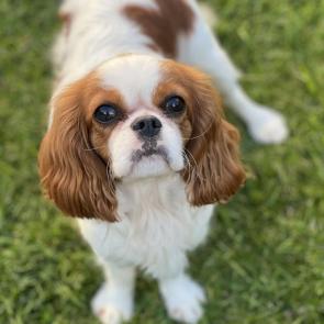 ����: ������� ���� ������ ��������