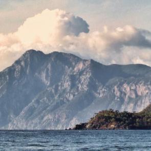 ����: ���������������