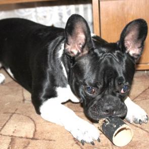 ����: �����