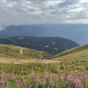 ����: ������ � �������� 