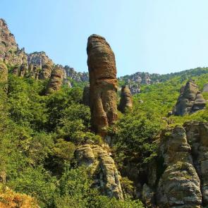 ����: ������ ���� �������� � �����