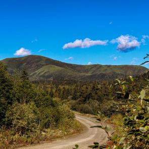 ����: � ��������