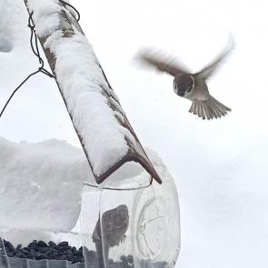 ����: ������������������