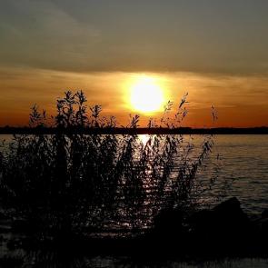 ����: �����