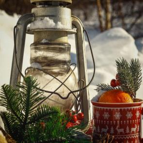 ����: ��������� ����