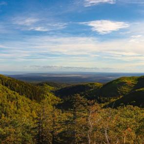 ����: ��������