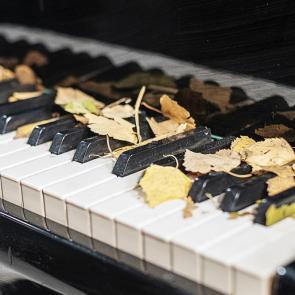 ����: ����� ���� ������