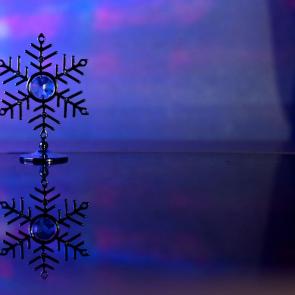 ����: ��������