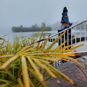 ����: ��������� ����