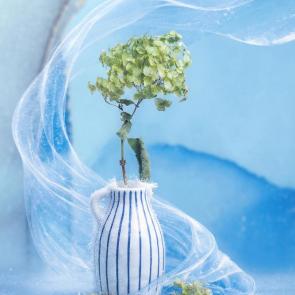 ����: ���� � ���������