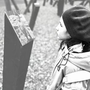 ����: ���������