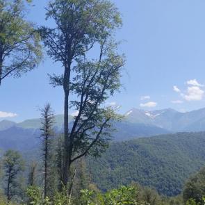 ����: ������� ���� �����