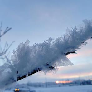 ����: ������� ��������