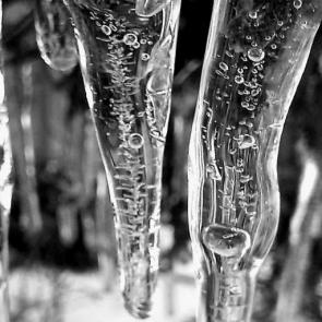 ����������� �����