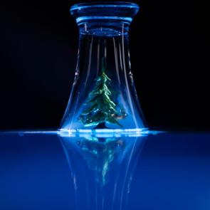 ���� � ����������