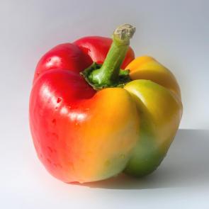 ����: ���������� ������