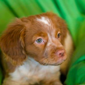 ���������� ������