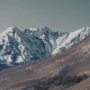 ����: ���������� ����