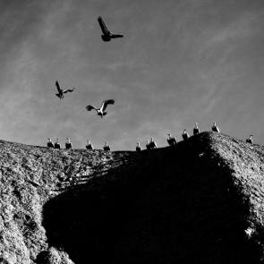 ����: �� ���� ������