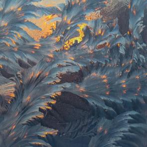 ����: �� ��������